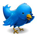 twitter-bird