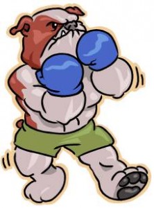 boxer boxer