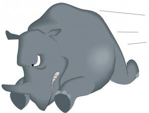rhino Guest blogging - dealing with rejection