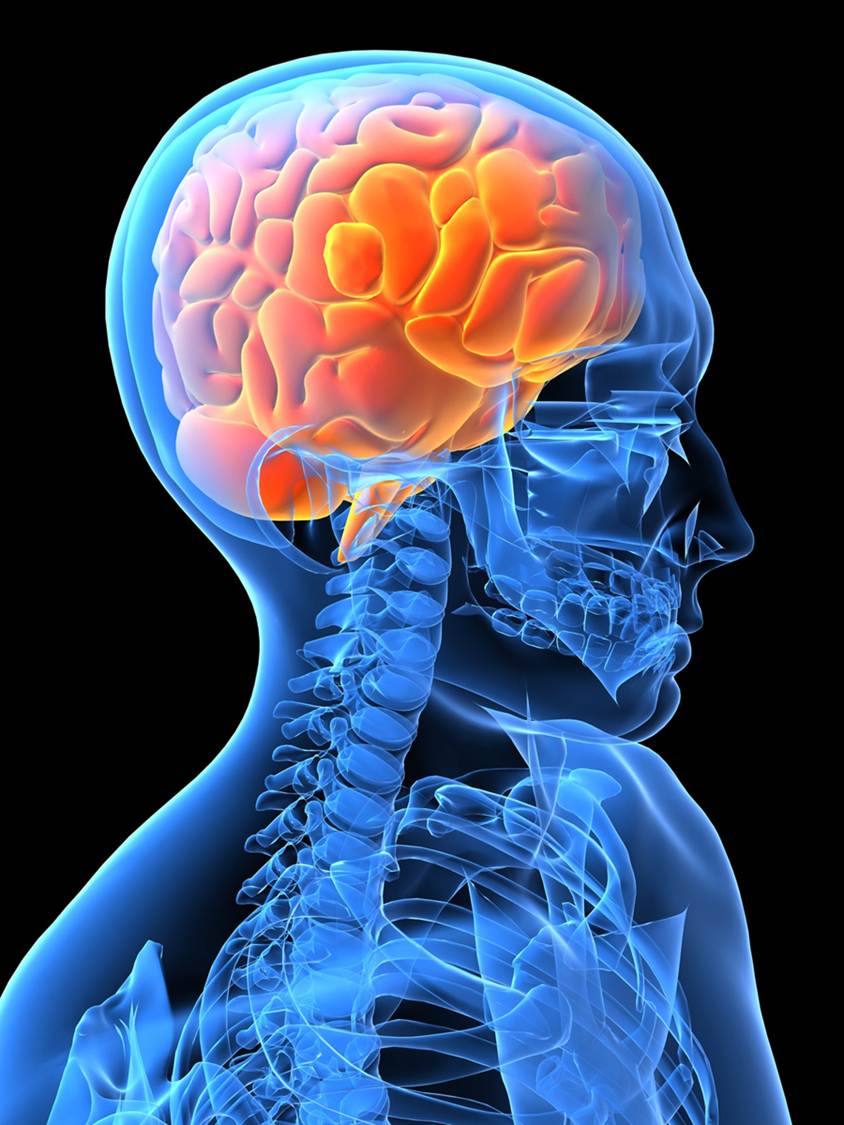 brain Copywriting voice