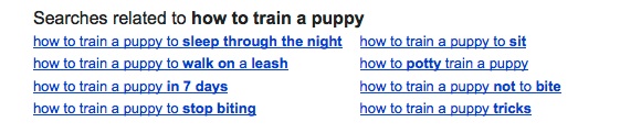 Google relates searches Google related search