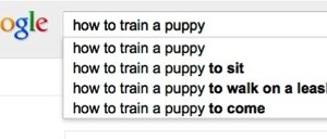 Google suggest Google suggest