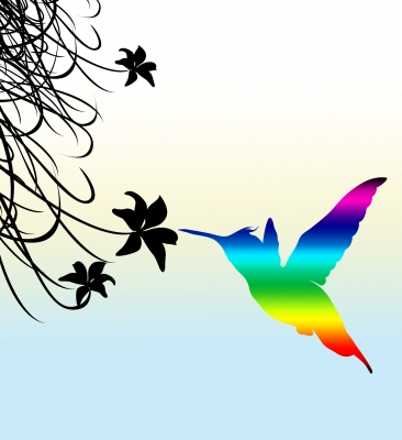 Hummingbird update